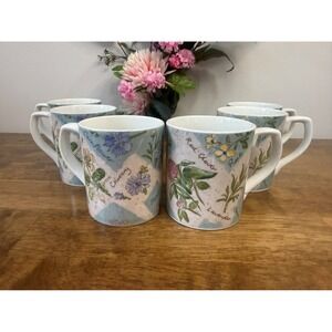 Royal Doulton Everyday Wildflowers Botanical Coffee Mugs Set Fine China